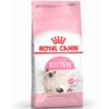 Royal_Kitten_7kg