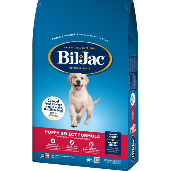 Bil Jac puppy