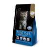 matisse-gatitos matisse-gatitos