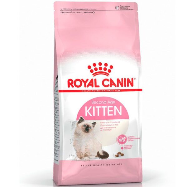 Royal_kitten7kg Royal_kitten7kg