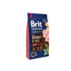 brit-junior-large brit-junior-large
