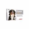 Power Ultra 41 a 60 kg Power Ultra 41 a 60 kg