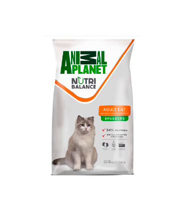 Animal Planet gato 8k