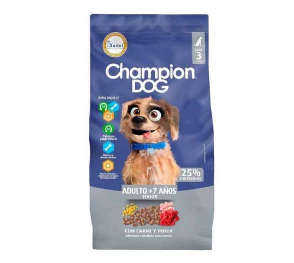Champion Dog Senior