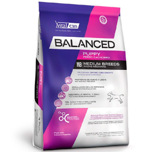 cachorro-raza-mediana