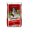 Cachupin