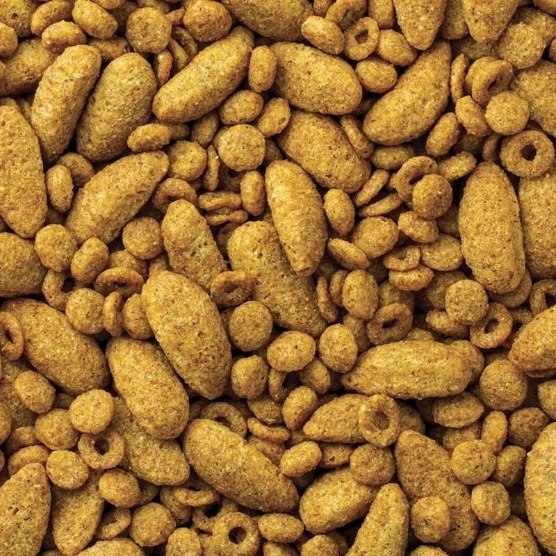 Sin título (800 x 800 px)_20250822_113001_0002 Sin título (800 x 800 px)_20250822_113001_0002