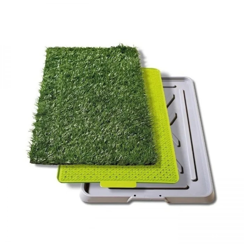 3_20250904_123327_0002