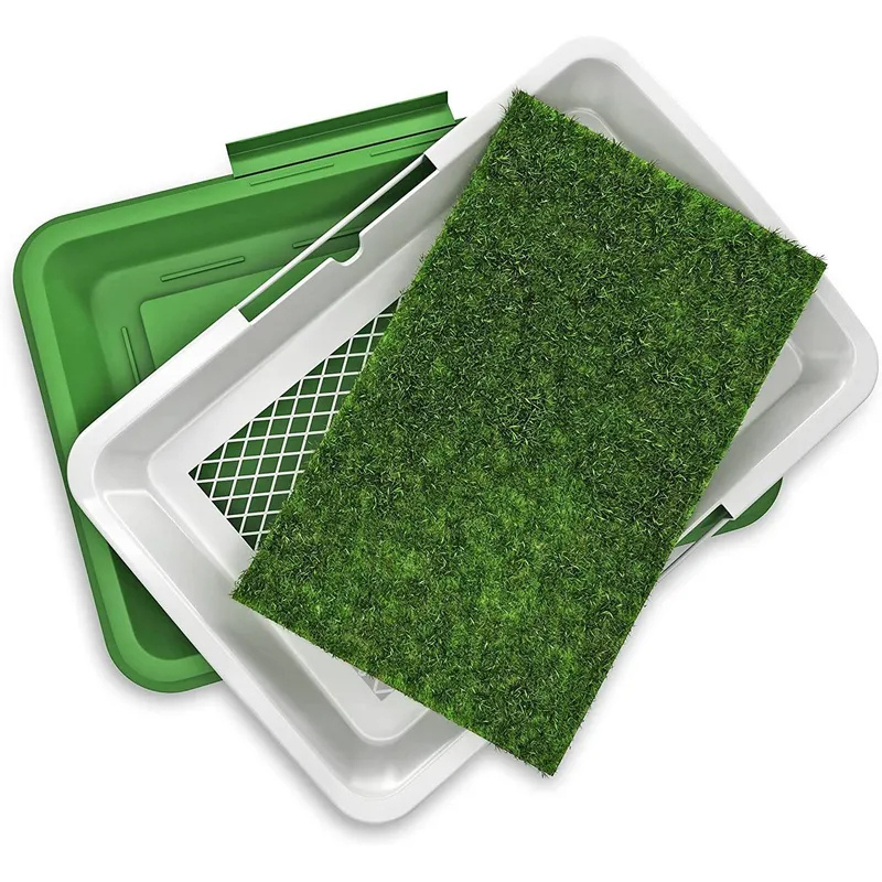 5_20250904_123327_0004